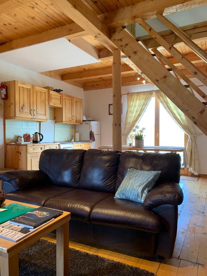Mountain Vista Chalet Žabljak Εξωτερικό φωτογραφία