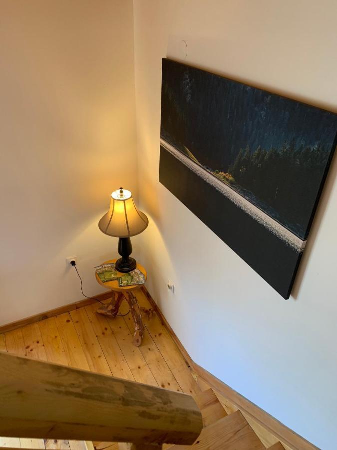 Mountain Vista Chalet Žabljak Εξωτερικό φωτογραφία