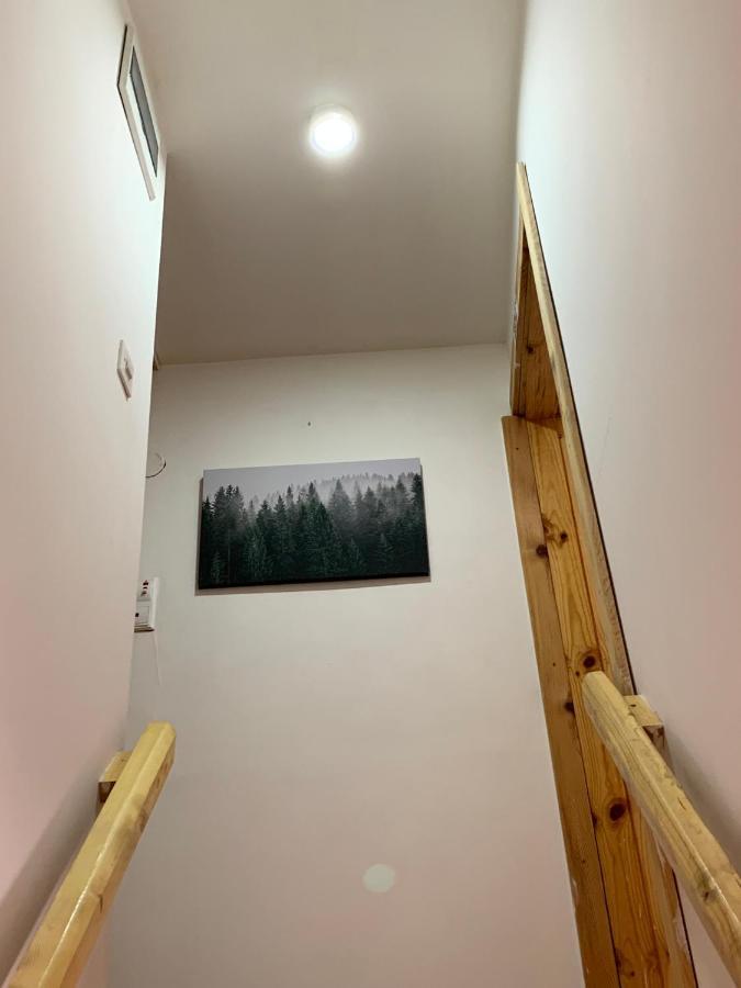 Mountain Vista Chalet Žabljak Εξωτερικό φωτογραφία